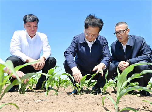 ��Ȧ(�й���)�������ǲ�!