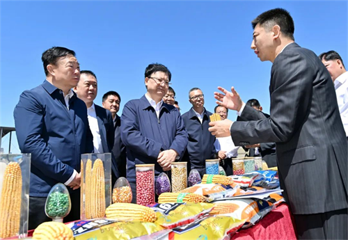 ��Ȧ(�й���)�������ǲ�!