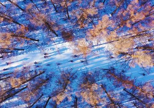 ��Ȧ(�й���)�������ǲ�!