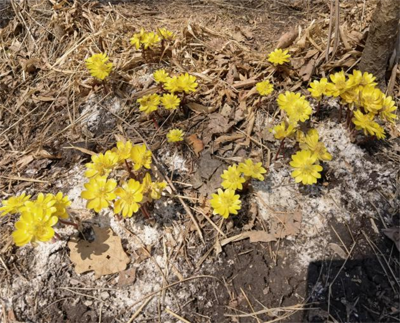 ��Ȧ(�й���)�������ǲ�!