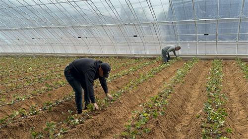 ��Ȧ(�й���)�������ǲ�!