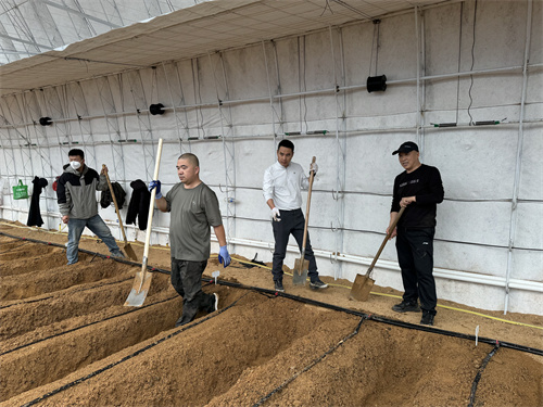 ��Ȧ(�й���)�������ǲ�!