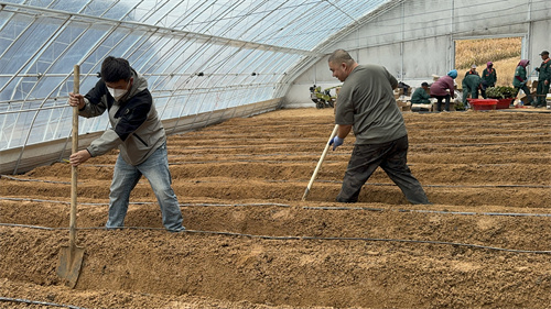 ��Ȧ(�й���)�������ǲ�!