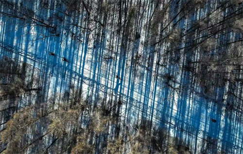 ��Ȧ(�й���)�������ǲ�!