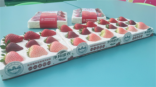 ��Ȧ(�й���)�������ǲ�!