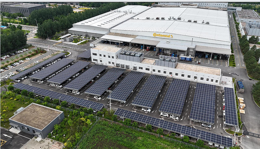 ��Ȧ(�й���)�������ǲ�!